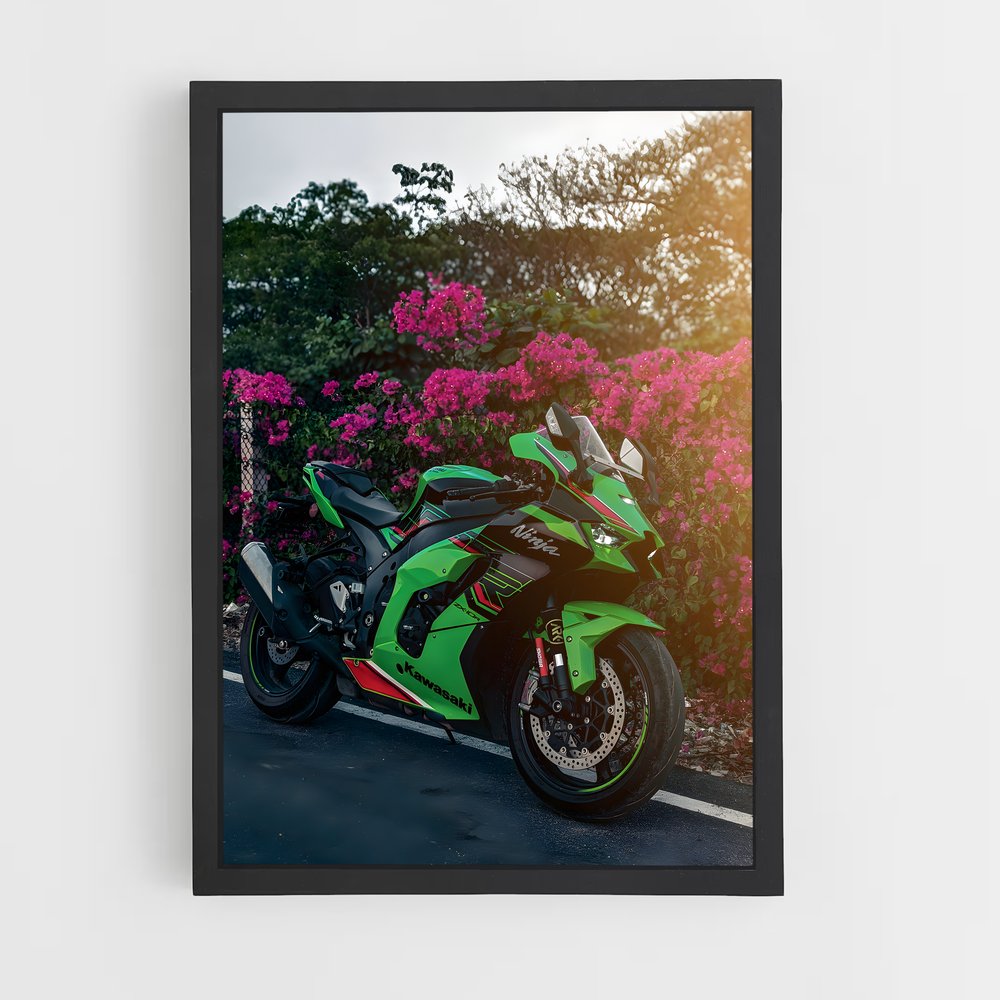 Poster Vitesse Verdoit (vue 2)